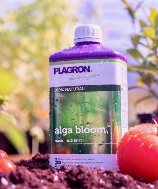 Plagron Alga Bloom Fertilizante