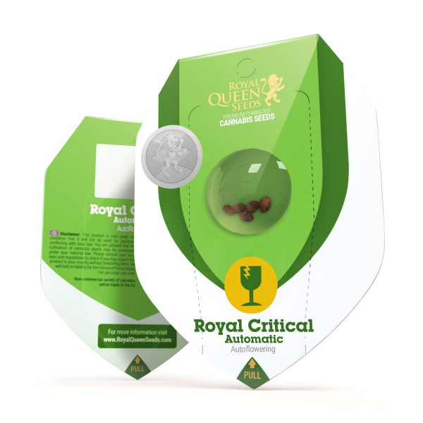 Royal Queen Seeds - Semillas Royal Critical Auto