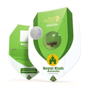 Royal Queen Seeds - Semillas Royal Kush Auto