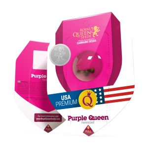 Royal Queen Seeds - Semillas Purple Queen Fem